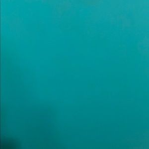 Meet your Posher, Annie